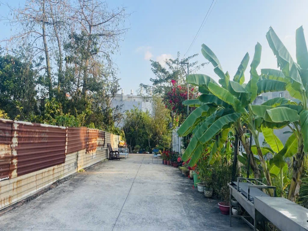Đất Vuông đẹp Xe tải tránh 107m2 – Thanh Xuân 25 Q12 - Ảnh 4